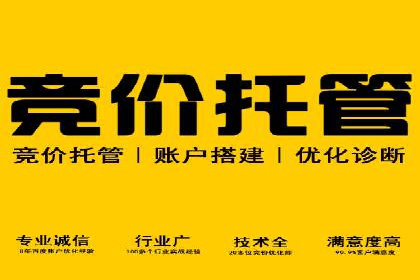 某电商企业SEM竞价代运营全记录：销量翻倍的奥秘